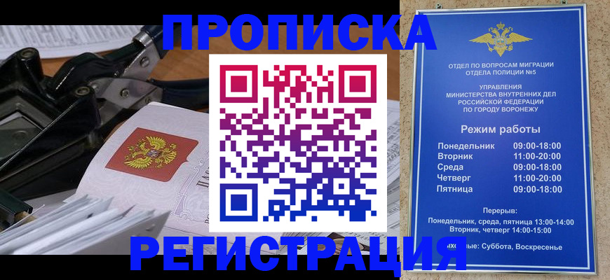 прописка законно в Звенигово