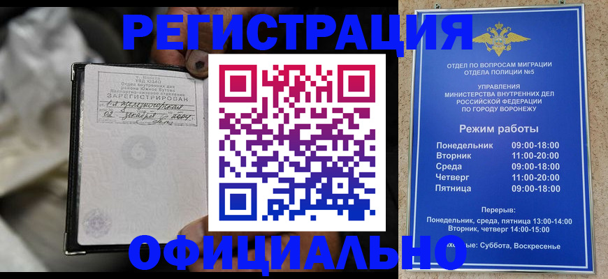 где прописаться в Звенигово